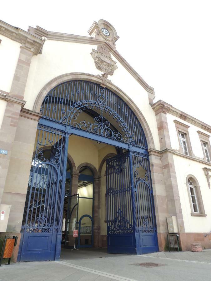Appart'Azur Haguenau - Centre Grand'Rue - Logements Entiers Pour Voyageur Pro Bagian luar foto