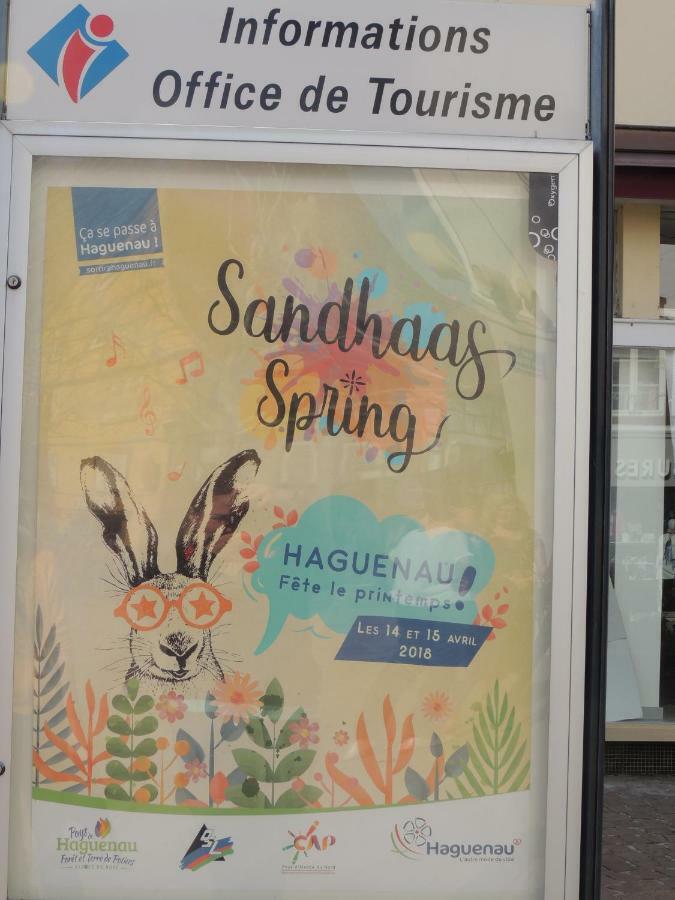 Appart'Azur Haguenau - Centre Grand'Rue - Logements Entiers Pour Voyageur Pro Bagian luar foto